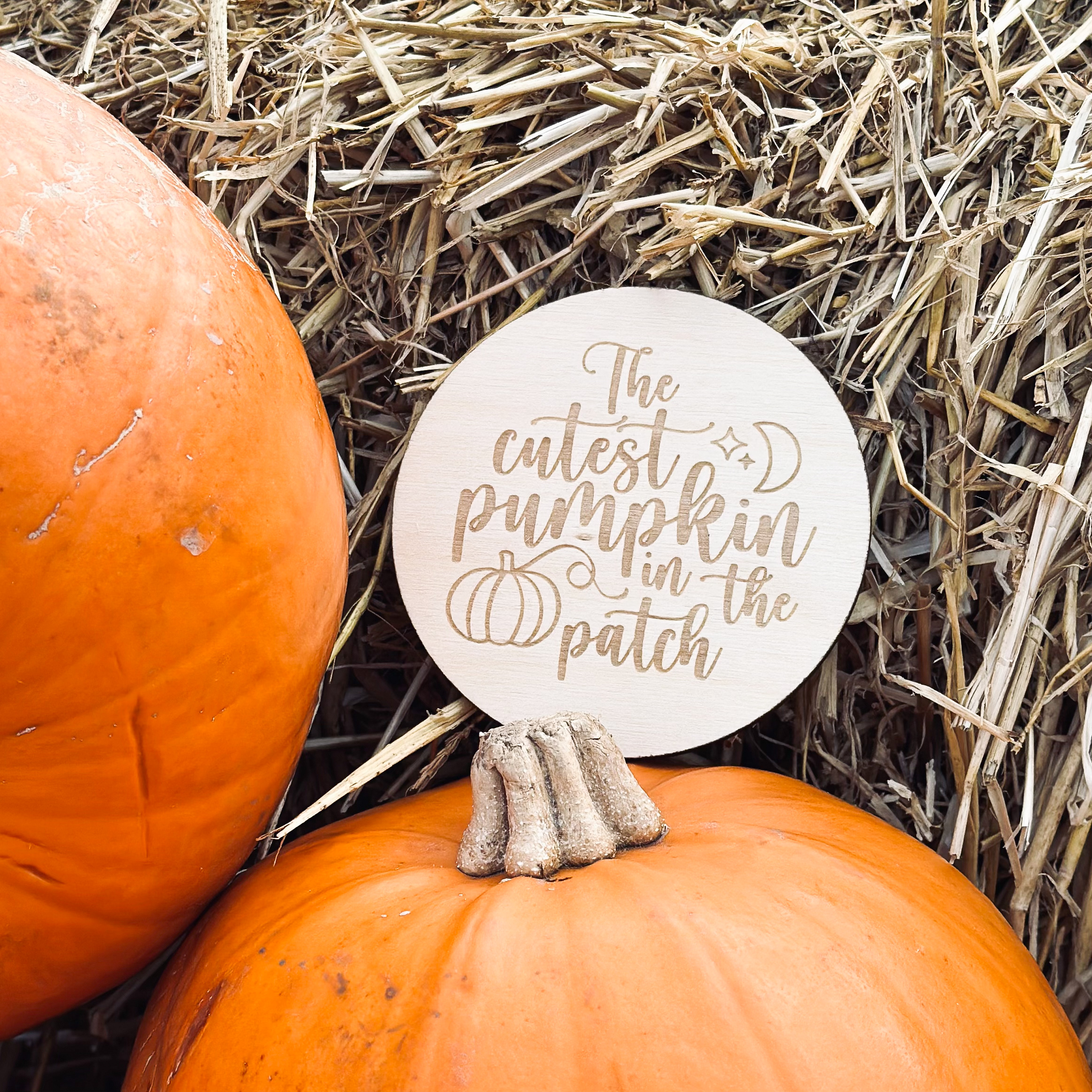 Cutest Pumpkin in the Patch Halloween Plaque